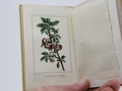 La Corbeille de Fruits - Charles Malo, Paris 1818