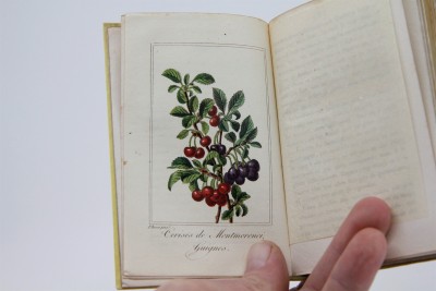 La Corbeille de Fruits - Charles Malo, Paris 1818