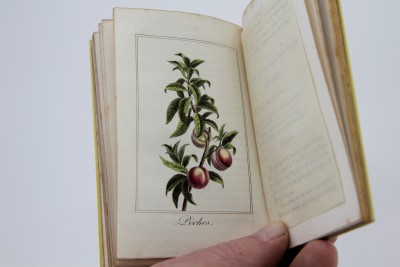 La Corbeille de Fruits - Charles Malo, Paris 1818