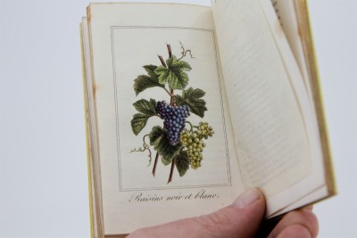 La Corbeille de Fruits - Charles Malo, Paris 1818