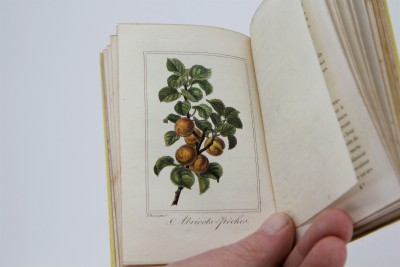 La Corbeille de Fruits - Charles Malo, Paris 1818