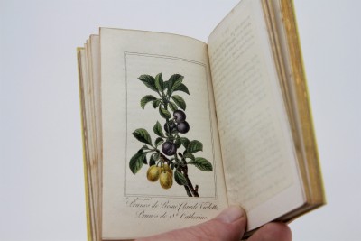 La Corbeille de Fruits - Charles Malo, Paris 1818