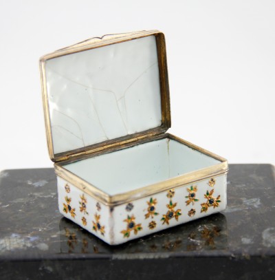 Tabatière en "émail de Saxe" rehaussé d'or – monture en vermeil - Berlin, atelier des Fromery, vers 1740 pour l'émail – Paris, 1738-1744 pour la monture en argent