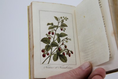 La Corbeille de Fruits - Charles Malo, Paris 1818