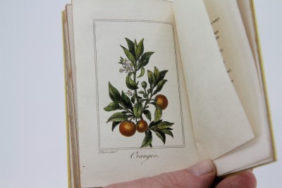 La Corbeille de Fruits - Charles Malo, Paris 1818